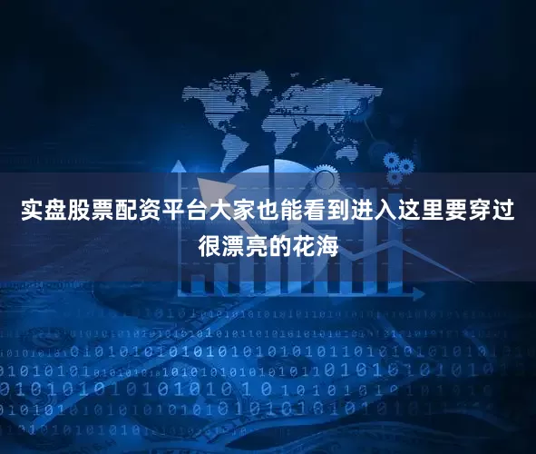实盘股票配资平台大家也能看到进入这里要穿过很漂亮的花海