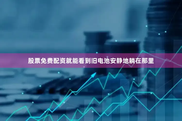 股票免费配资就能看到旧电池安静地躺在那里