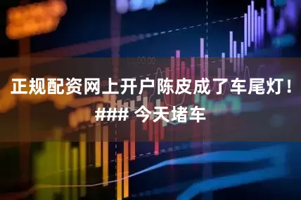 正规配资网上开户陈皮成了车尾灯！### 今天堵车